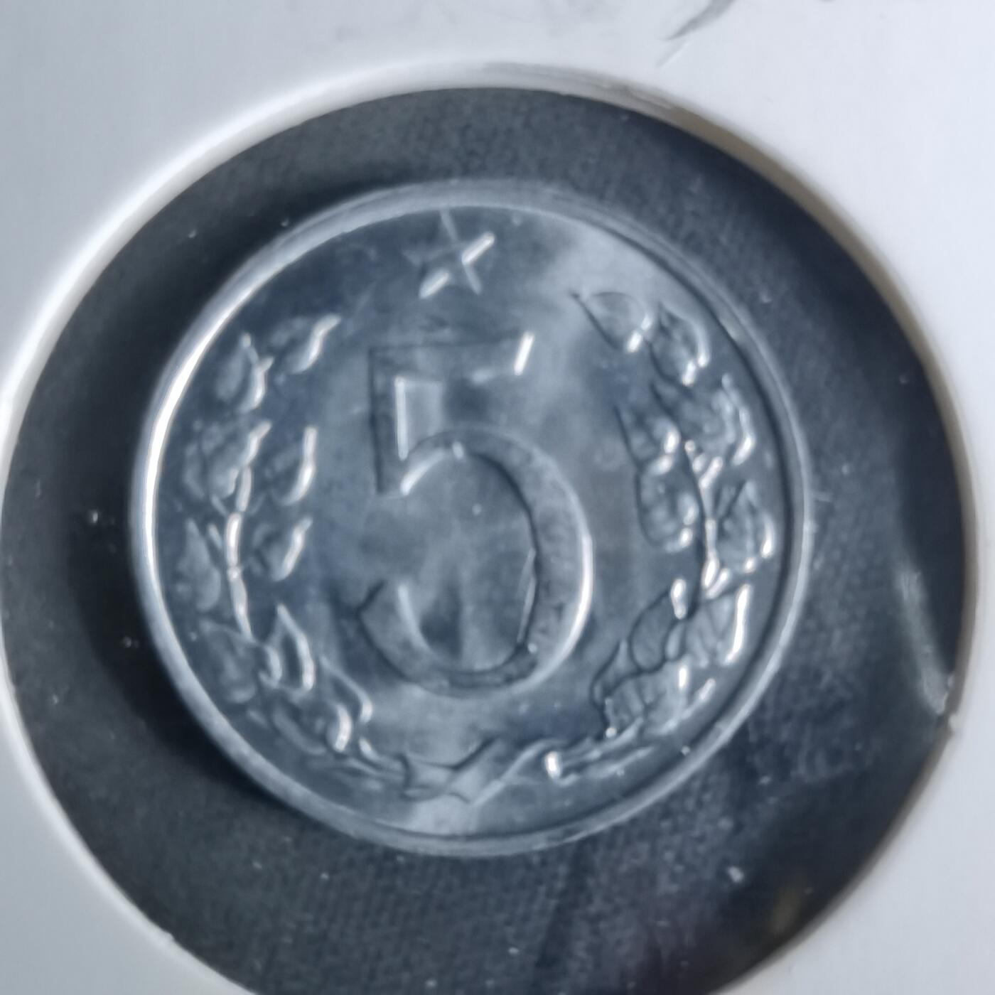 沼泽如烟--第956场