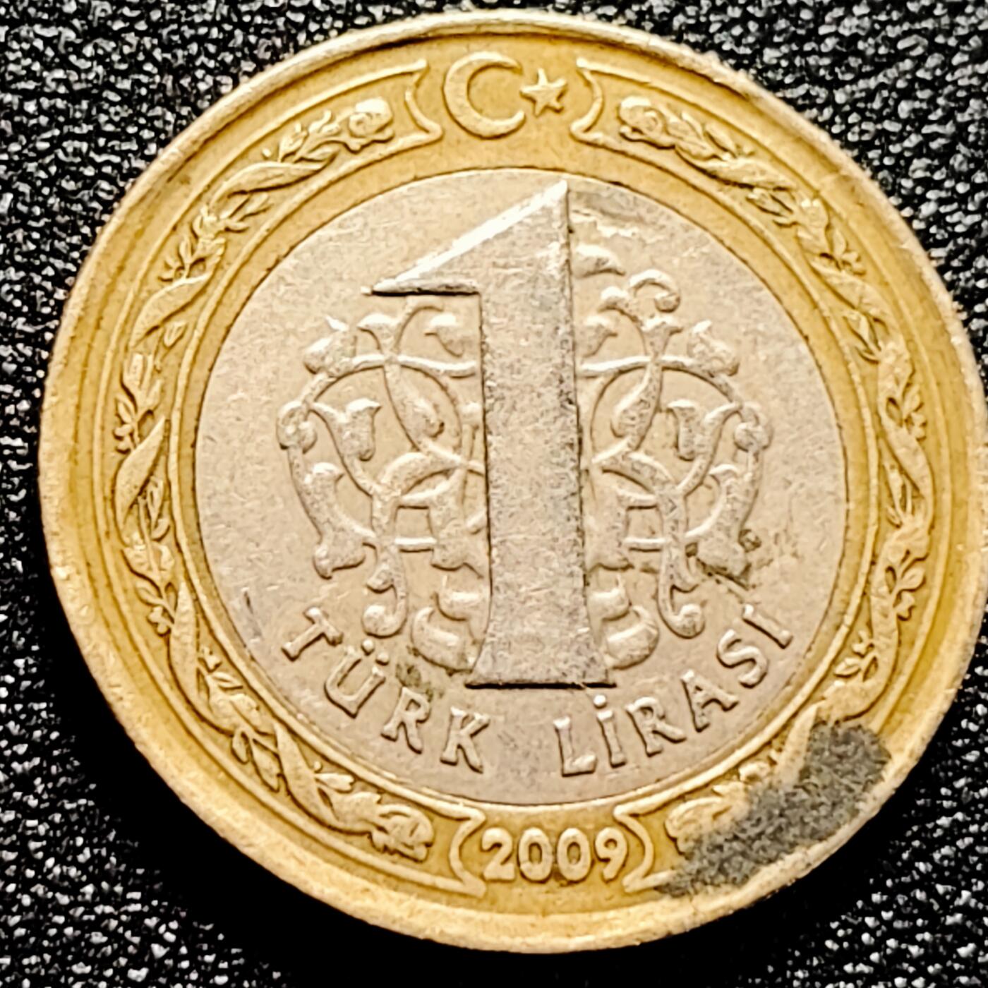 泉币菌-第167场- 精品福利场 。