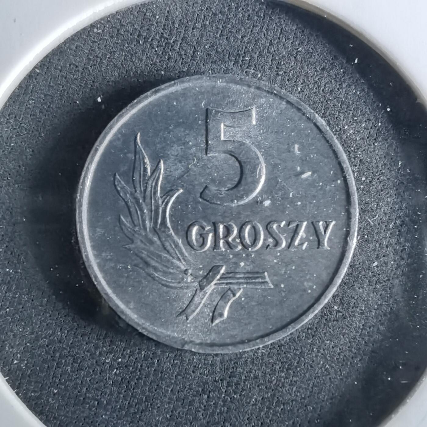 沼泽如烟--第956场