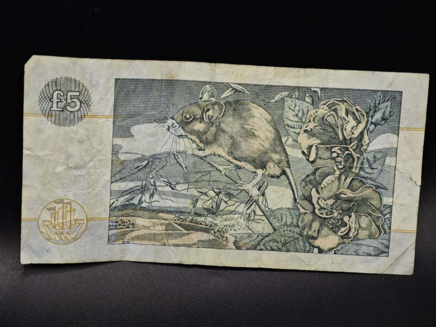 【淘币小摊】限时拍第八百四十五拍  纸币场  满百包邮可预留两周  周一统一发货  苏格兰1997年克莱玆戴尔5镑纸币【有折】