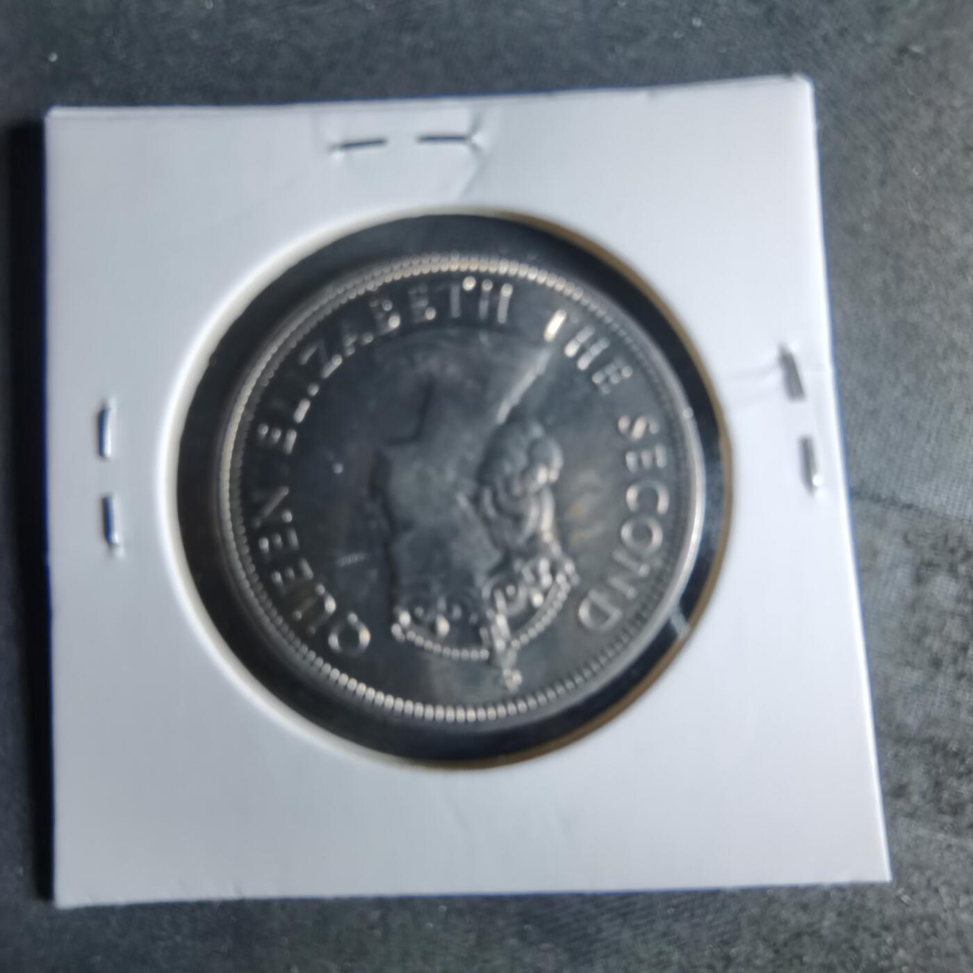 沼泽如烟--第956场