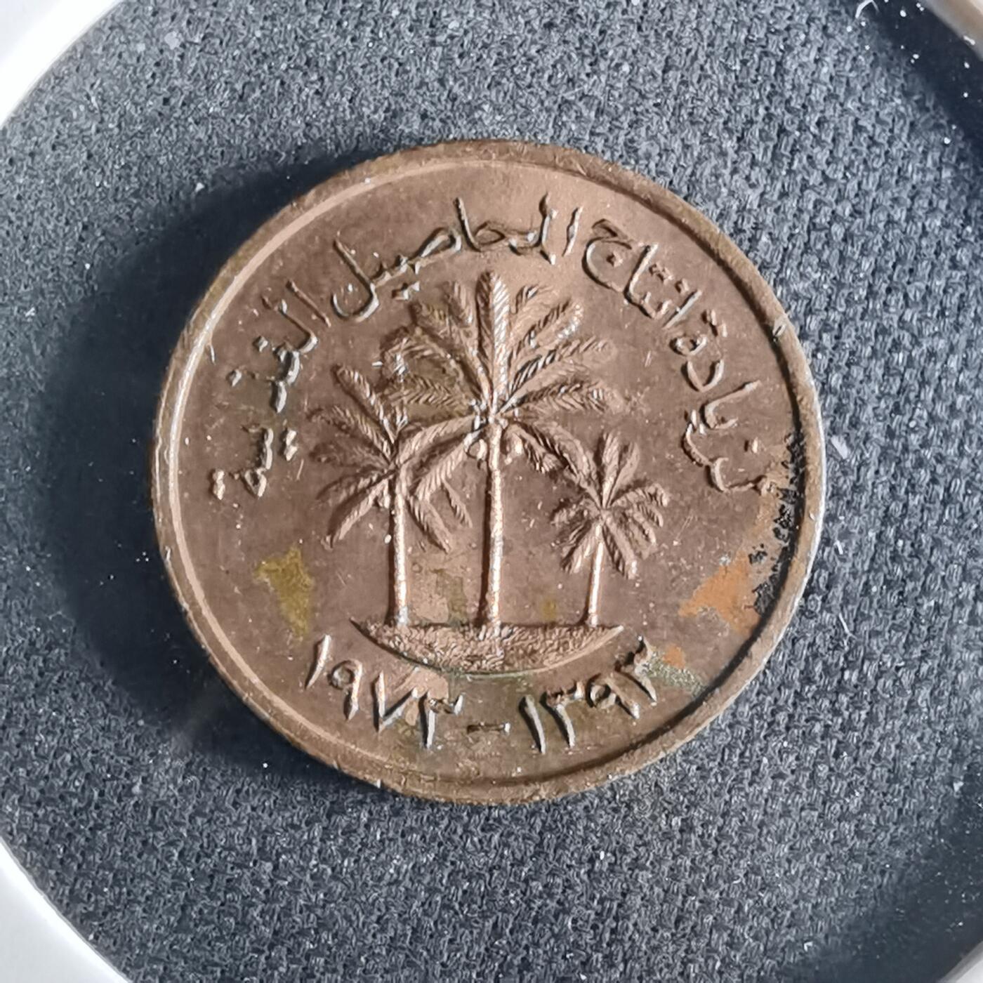 沼泽如烟--第956场