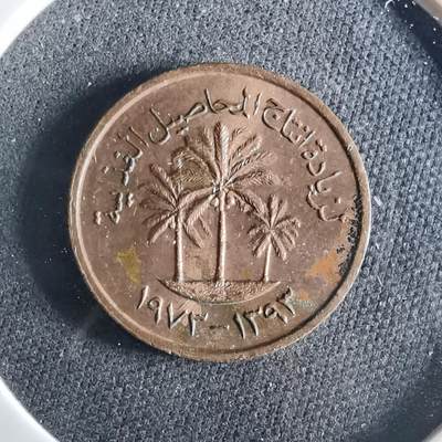 沼泽如烟--第956场 - 阿联酋