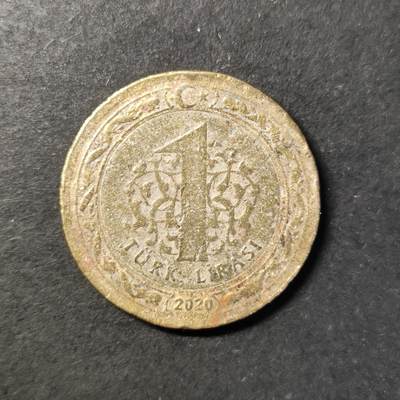 嘉禾收藏    【第433期】            无佣金、可寄存、满30元包邮 - 币一枚