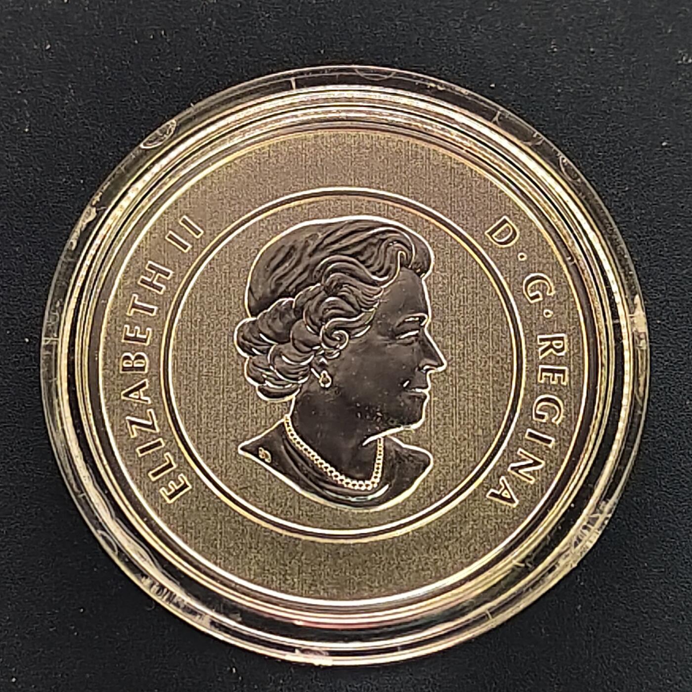 【全场包邮】纯粹捡漏拍493场