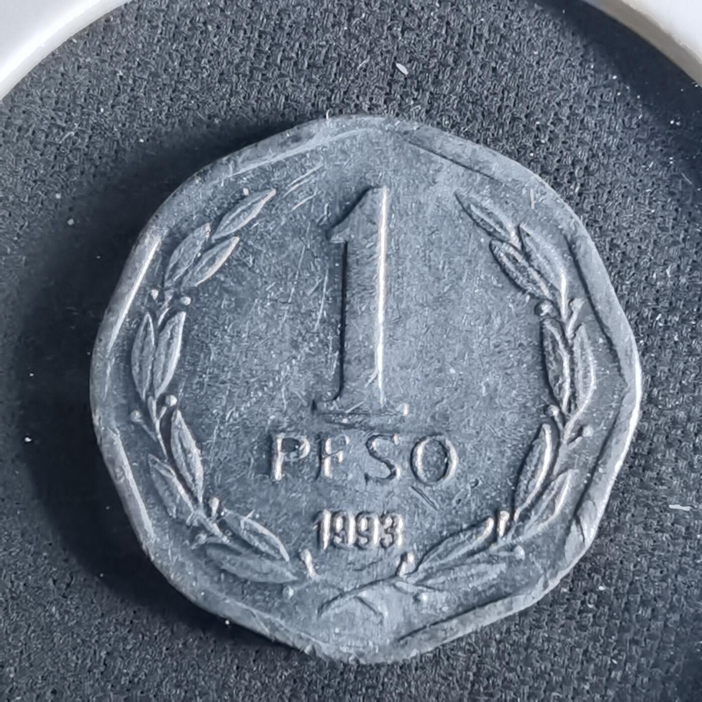 沼泽如烟--第956场