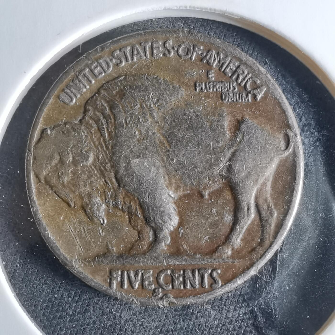 沼泽如烟--第956场