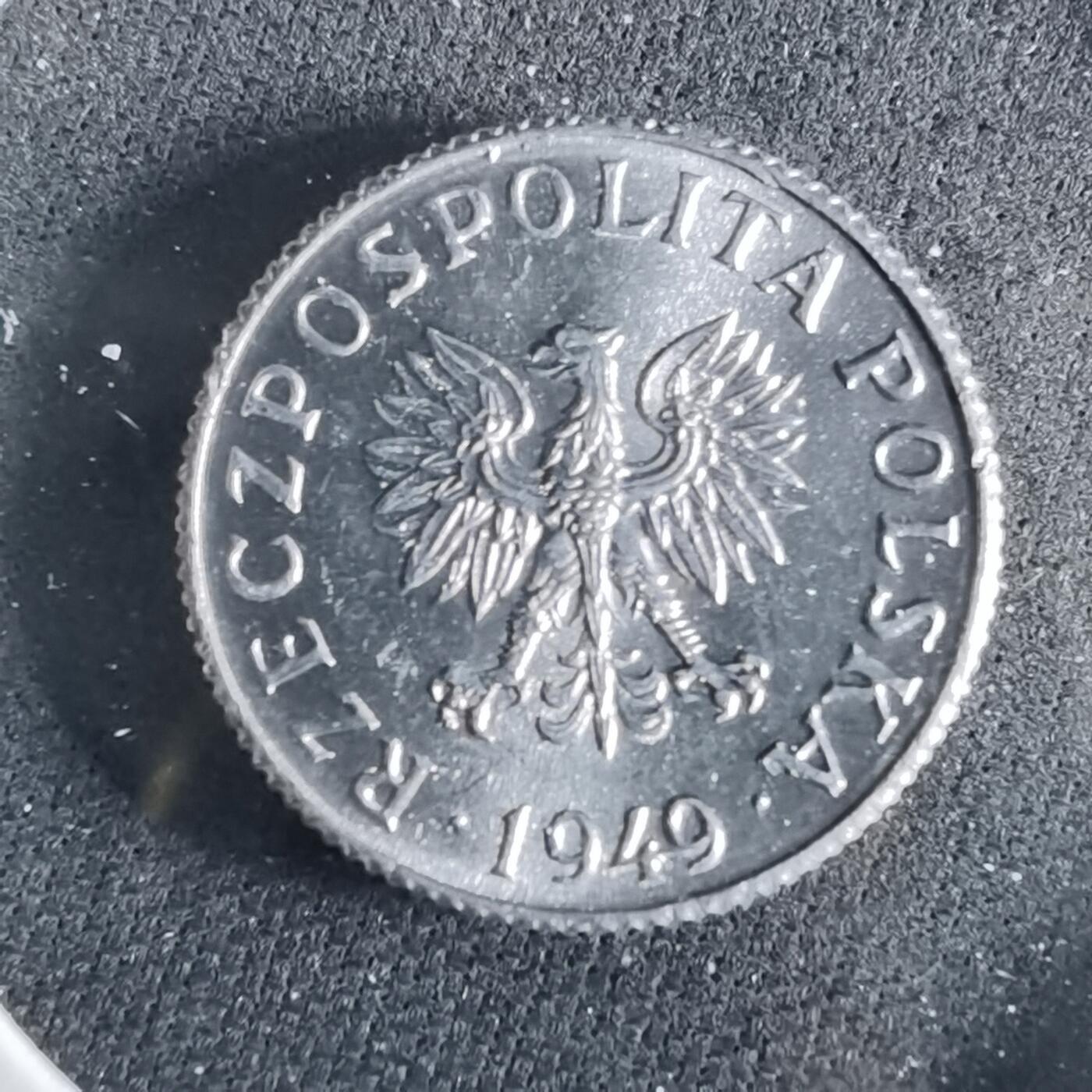 沼泽如烟--第956场