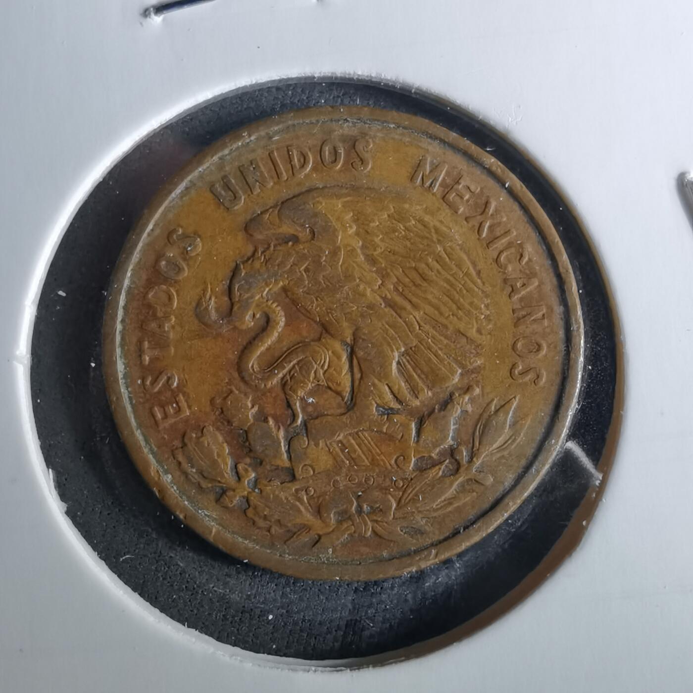 沼泽如烟--第956场