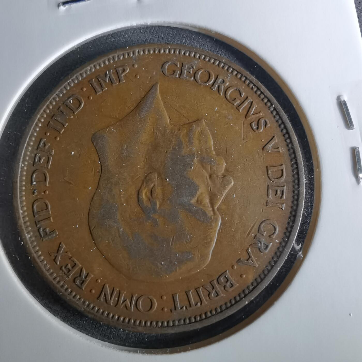 沼泽如烟--第956场