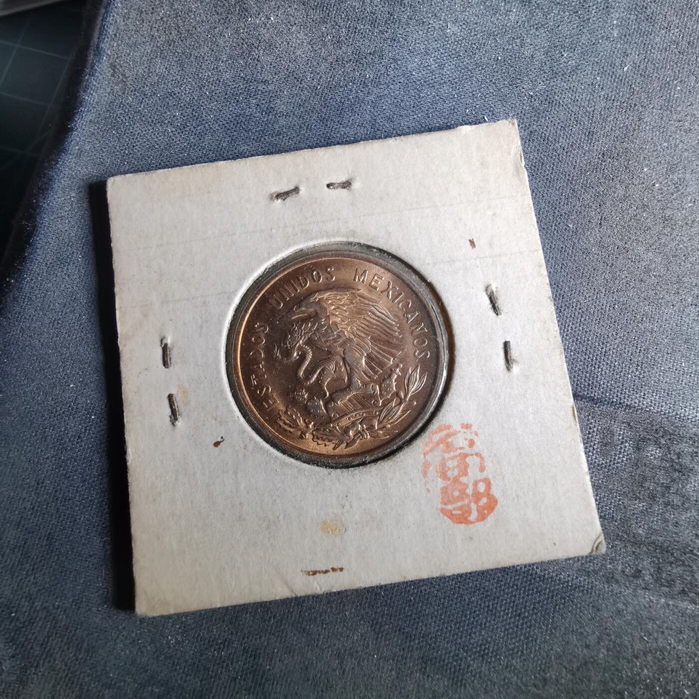 沼泽如烟--第956场