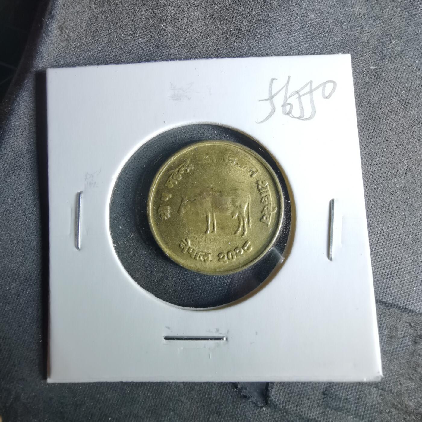 沼泽如烟--第956场