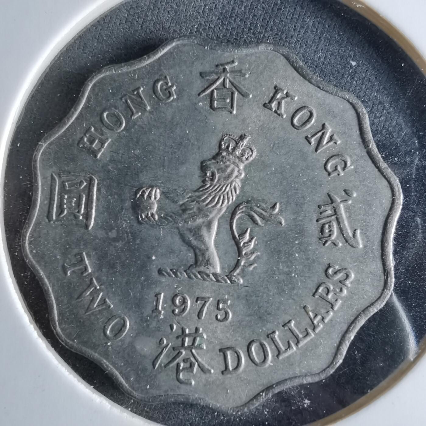 沼泽如烟--第956场