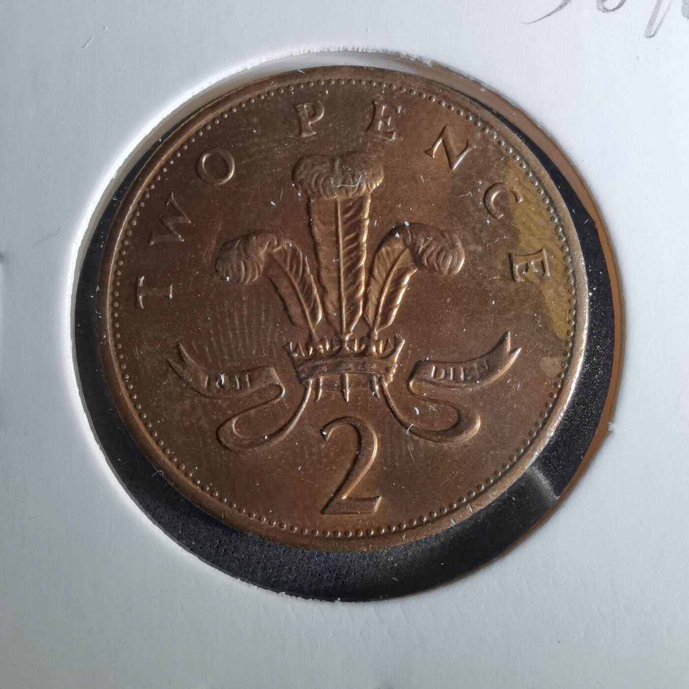 沼泽如烟--第956场