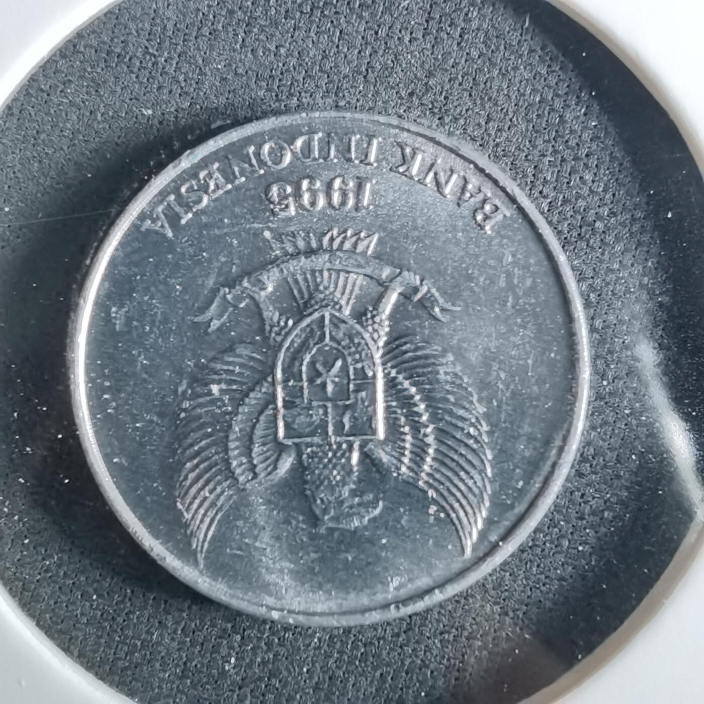 沼泽如烟--第956场