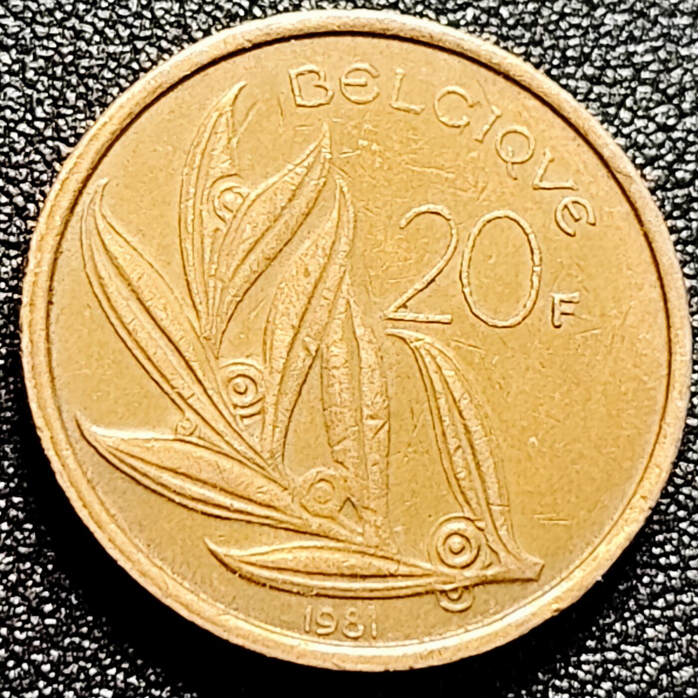 泉币菌-第167场- 精品福利场 。