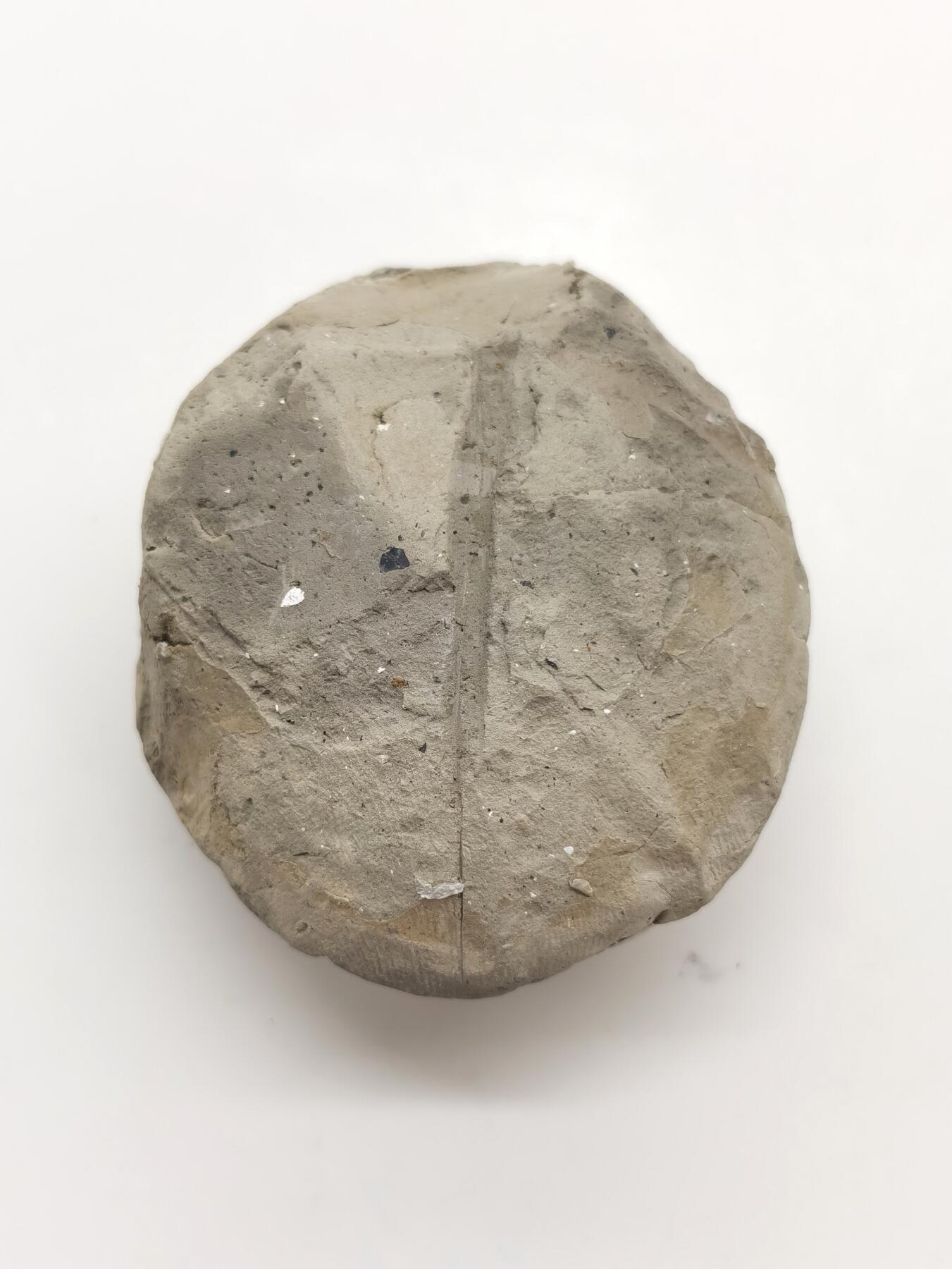 博洋堂世界钱币拍卖第156期（全场包邮） 藏传泥擦