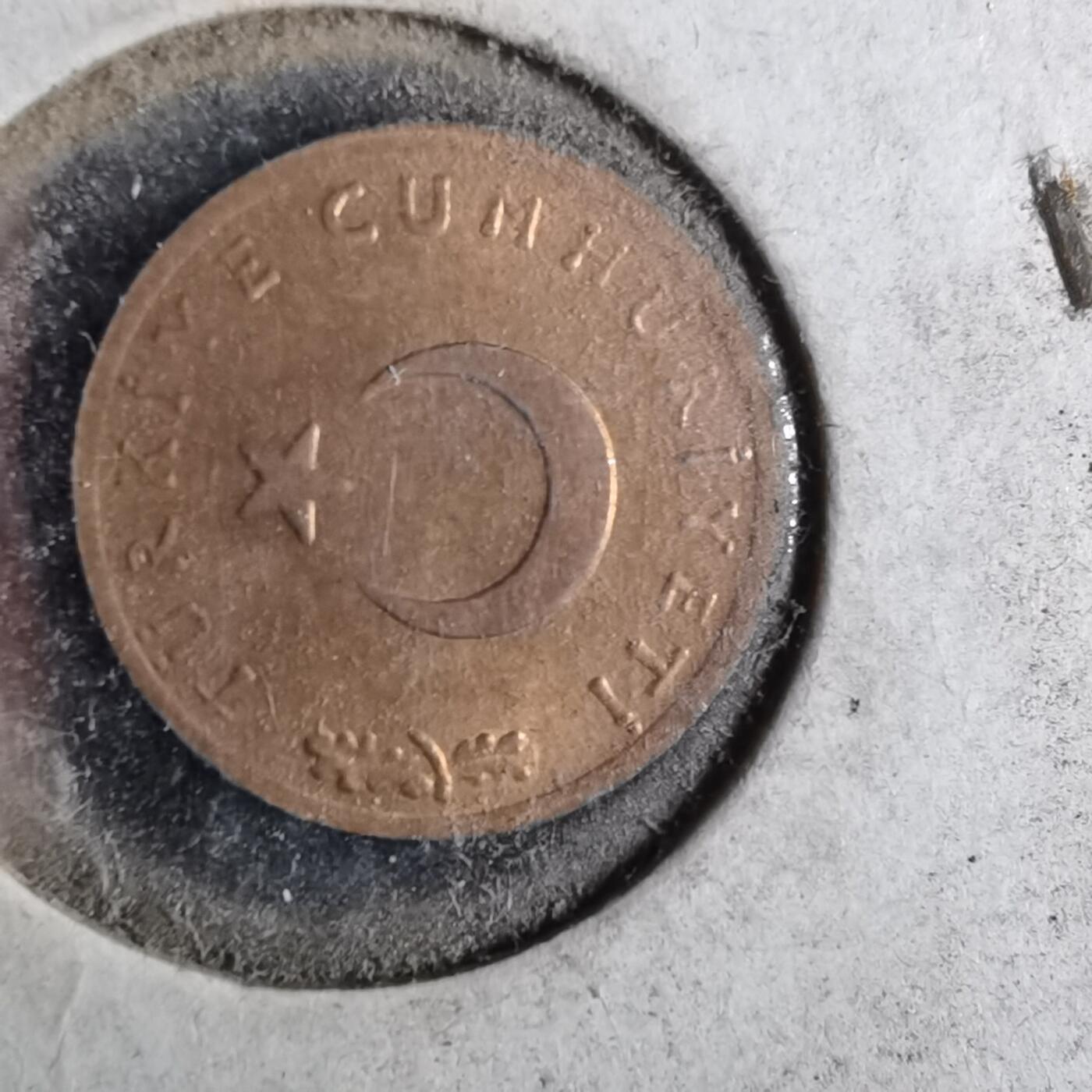 沼泽如烟--第956场