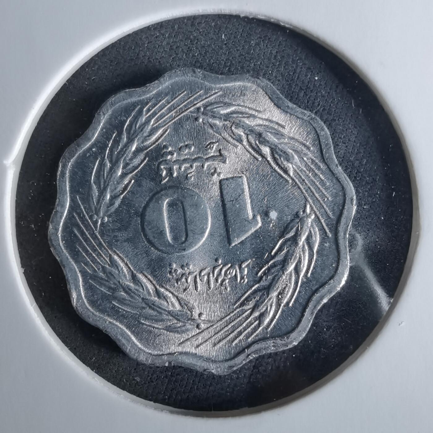 沼泽如烟--第956场