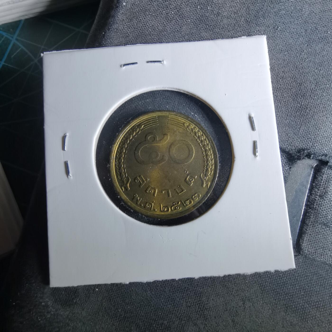 沼泽如烟--第956场 泰国