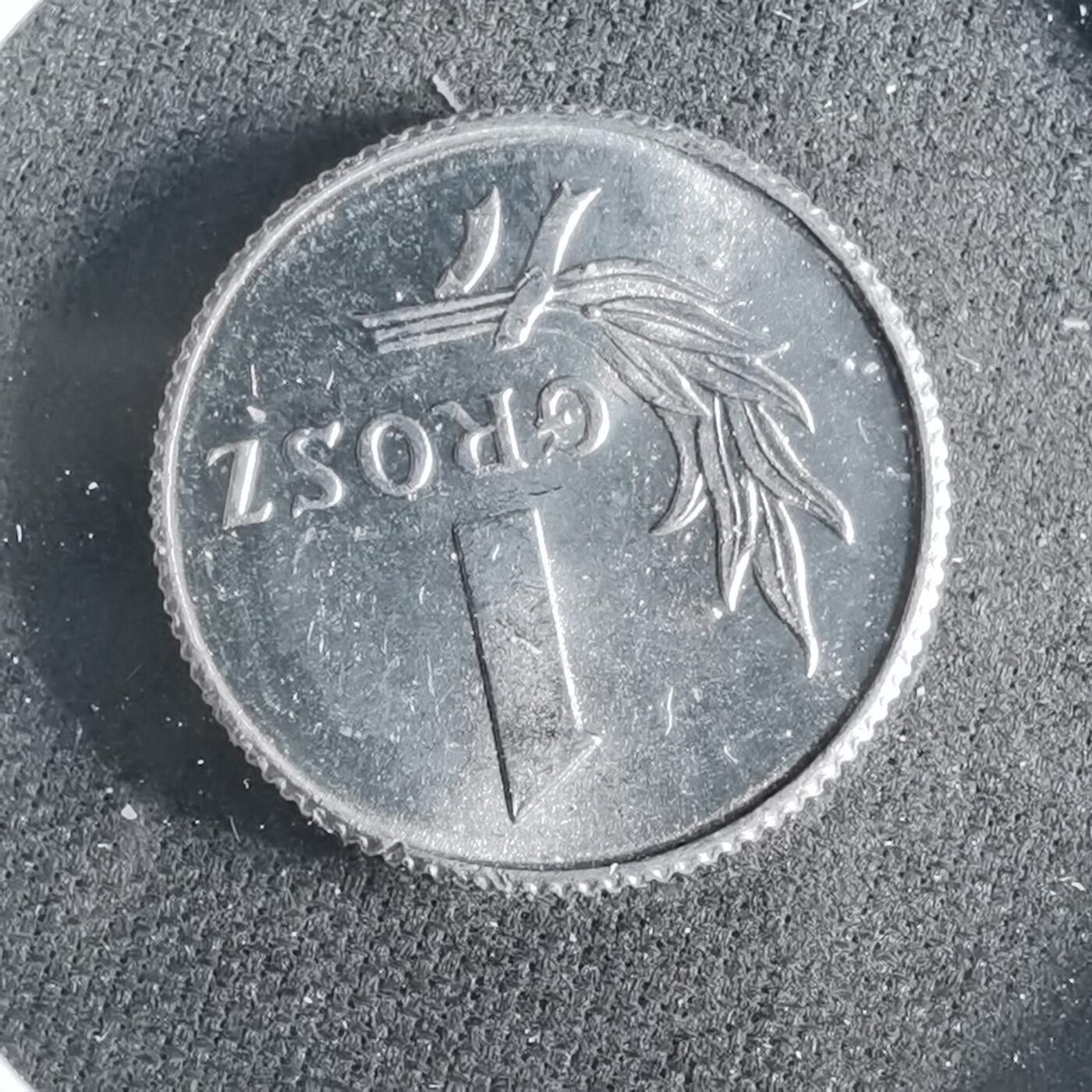 沼泽如烟--第956场