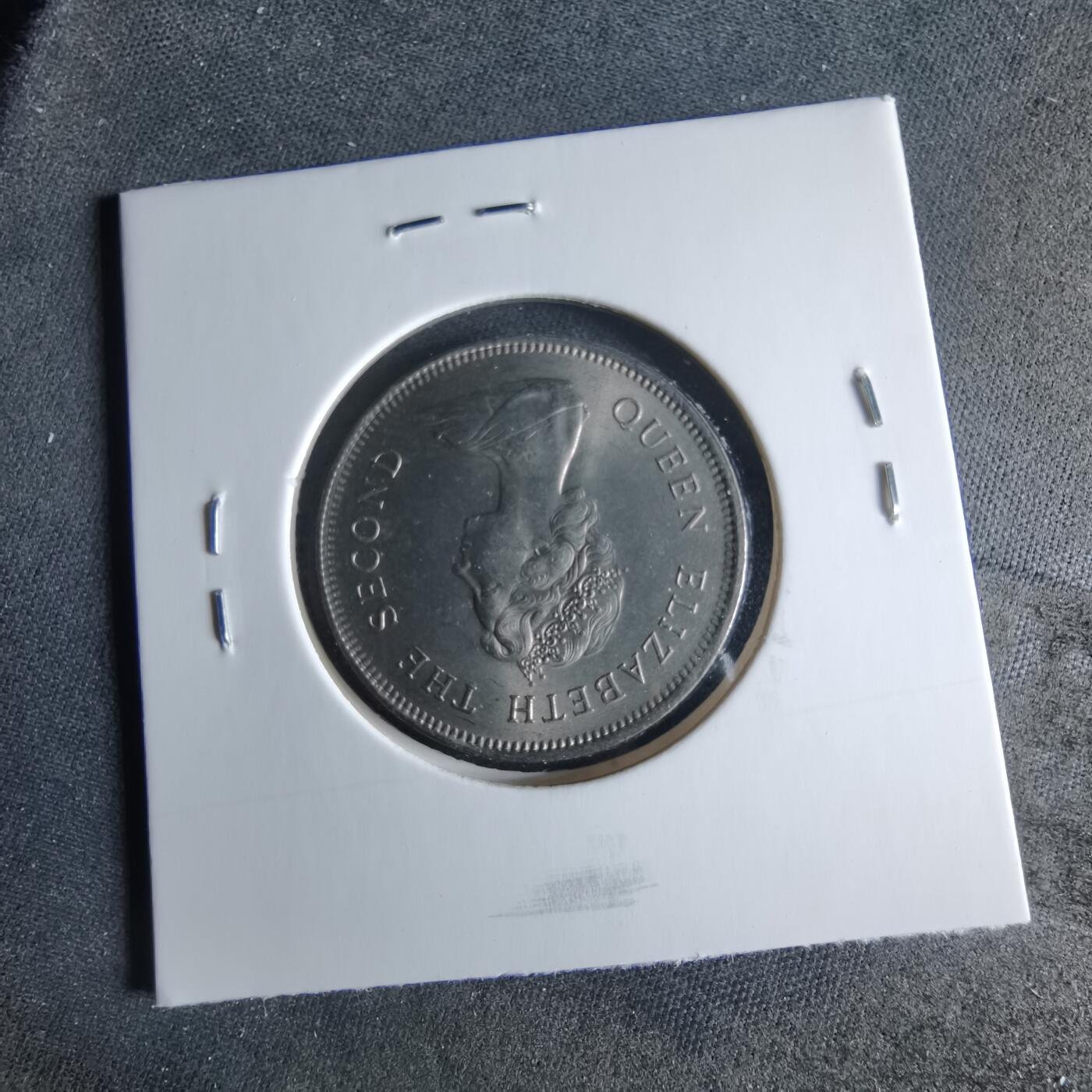 沼泽如烟--第956场