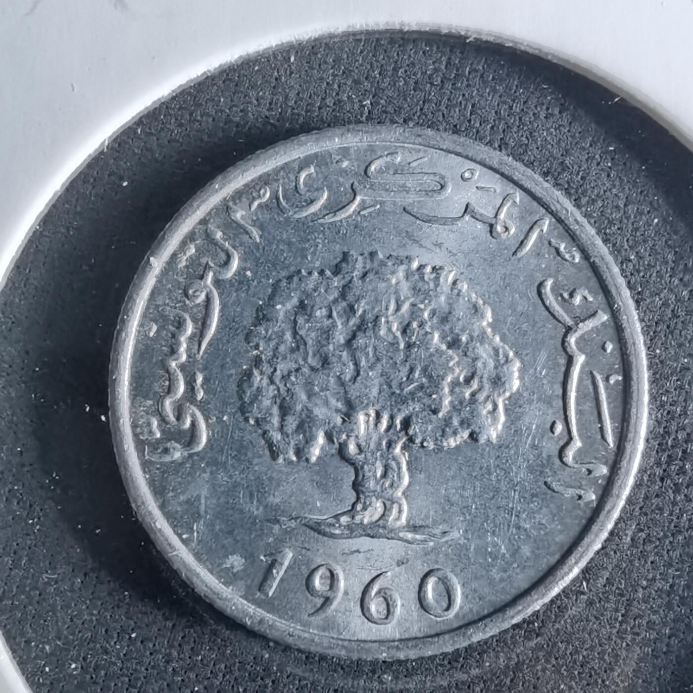 沼泽如烟--第956场