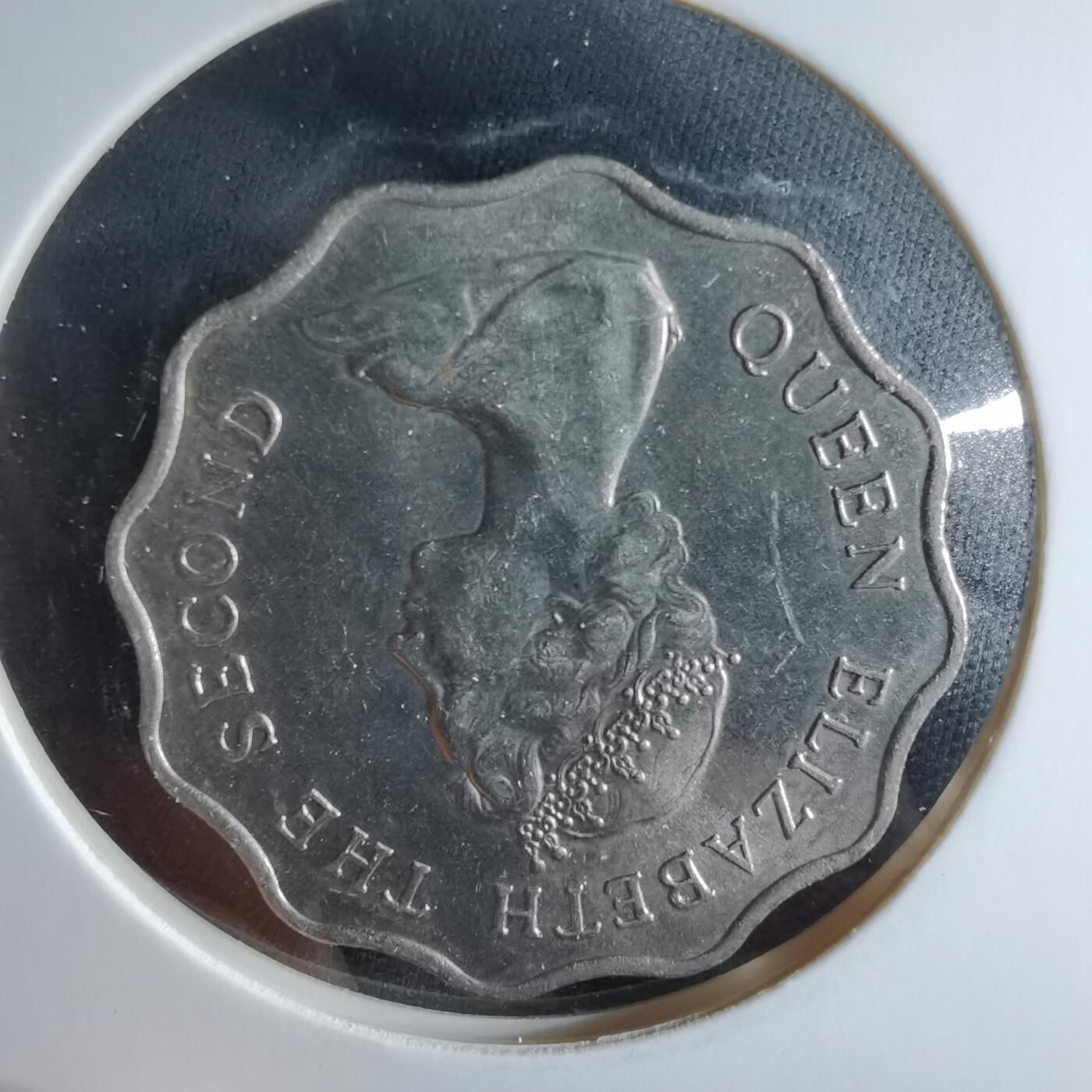 沼泽如烟--第956场