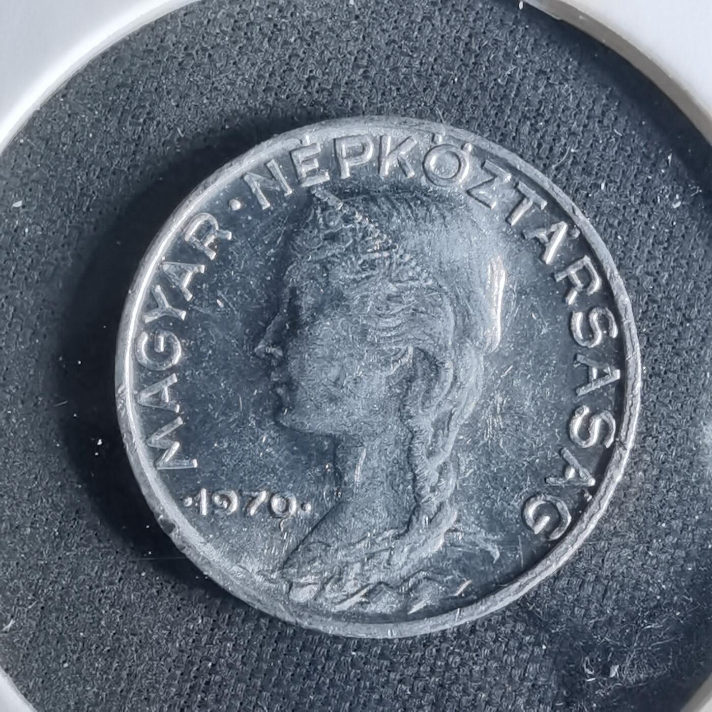 沼泽如烟--第956场