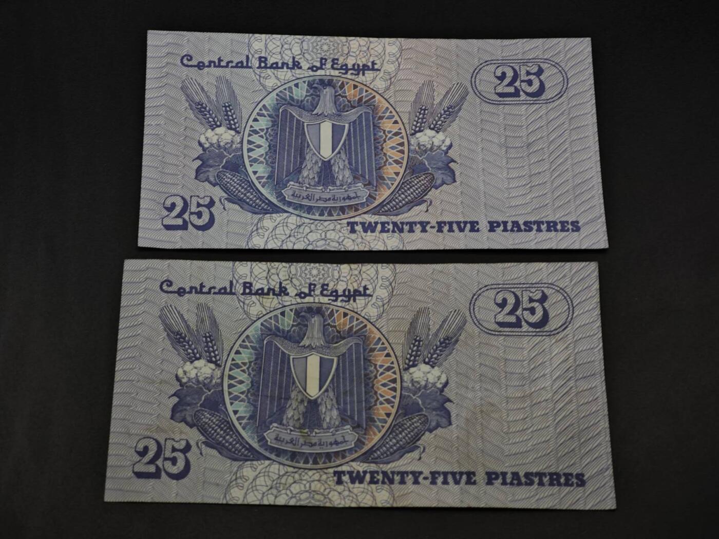 【淘币小摊】限时拍第八百四十五拍  纸币场  满百包邮可预留两周  周一统一发货  埃及25皮阿斯特纸币2张【有折】