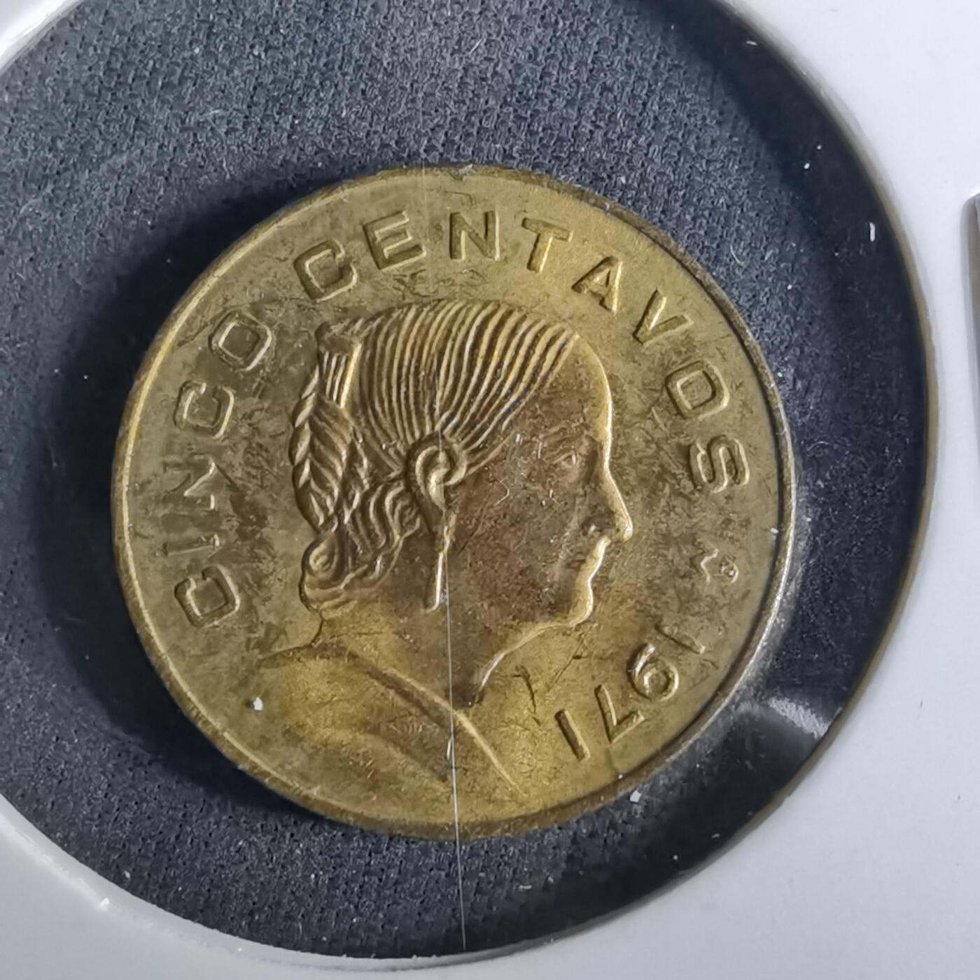 沼泽如烟--第956场