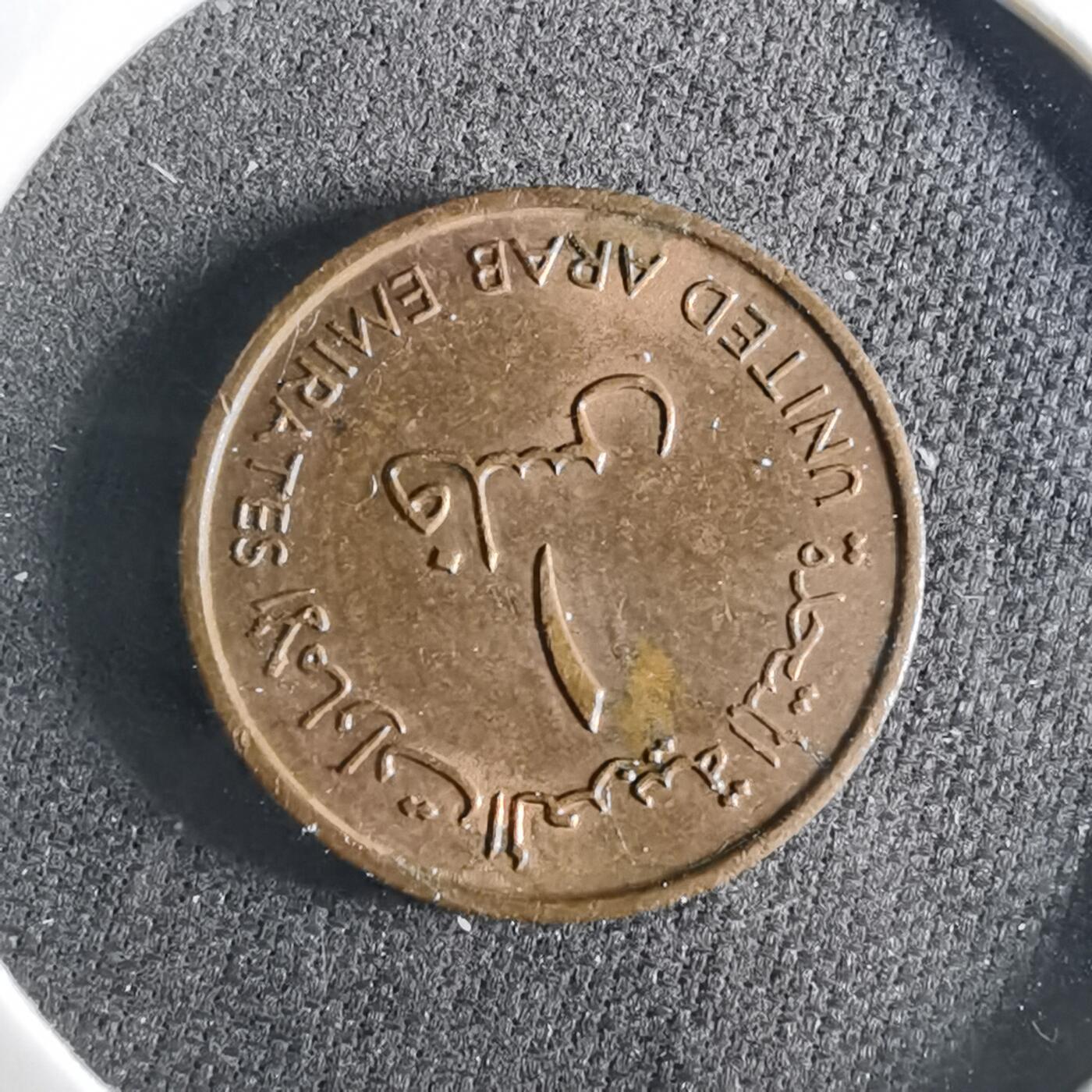 沼泽如烟--第956场