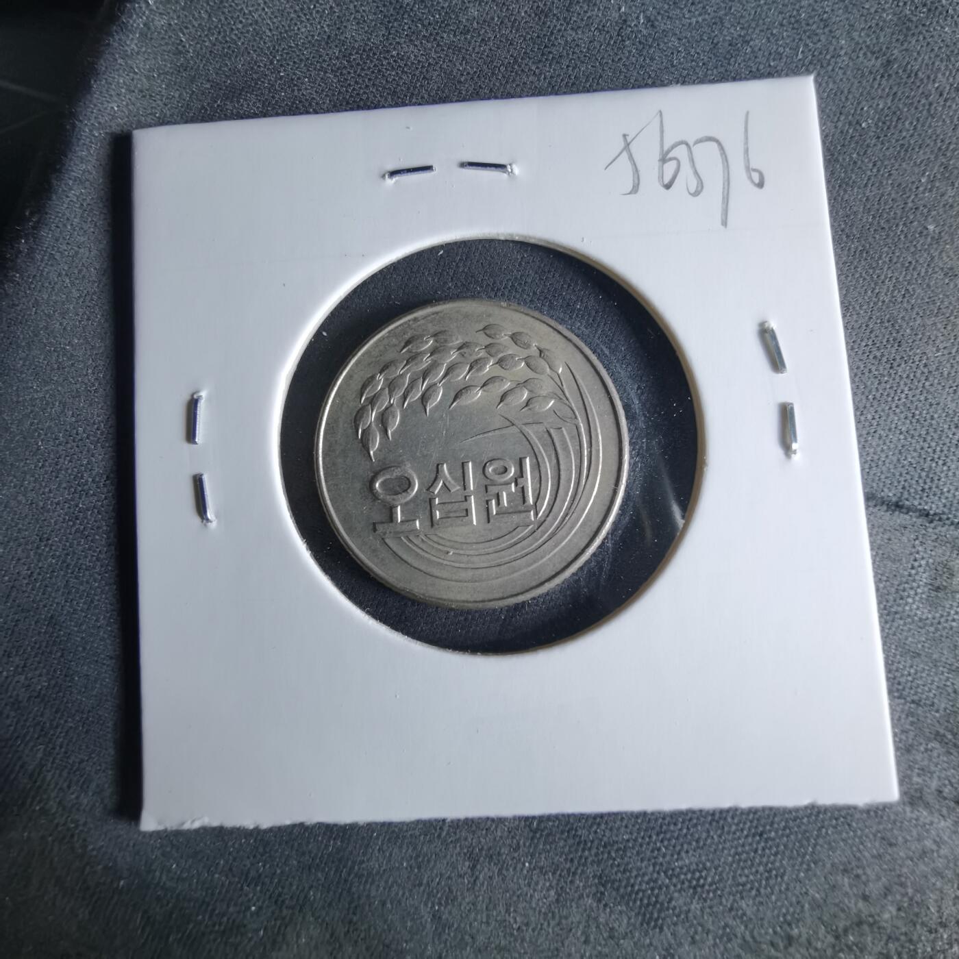 沼泽如烟--第956场