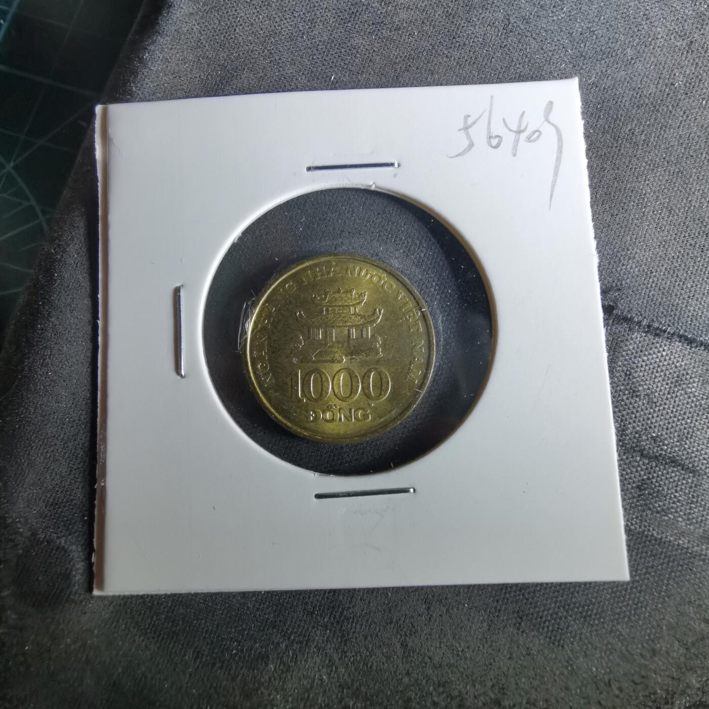 沼泽如烟--第956场