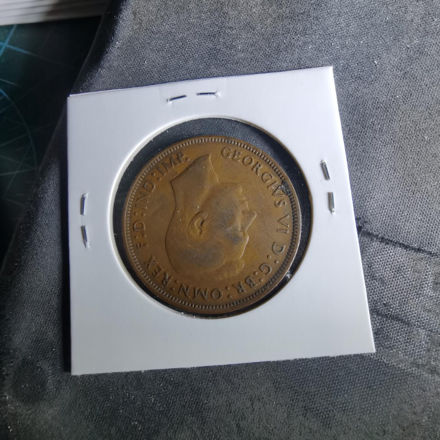 沼泽如烟--第956场