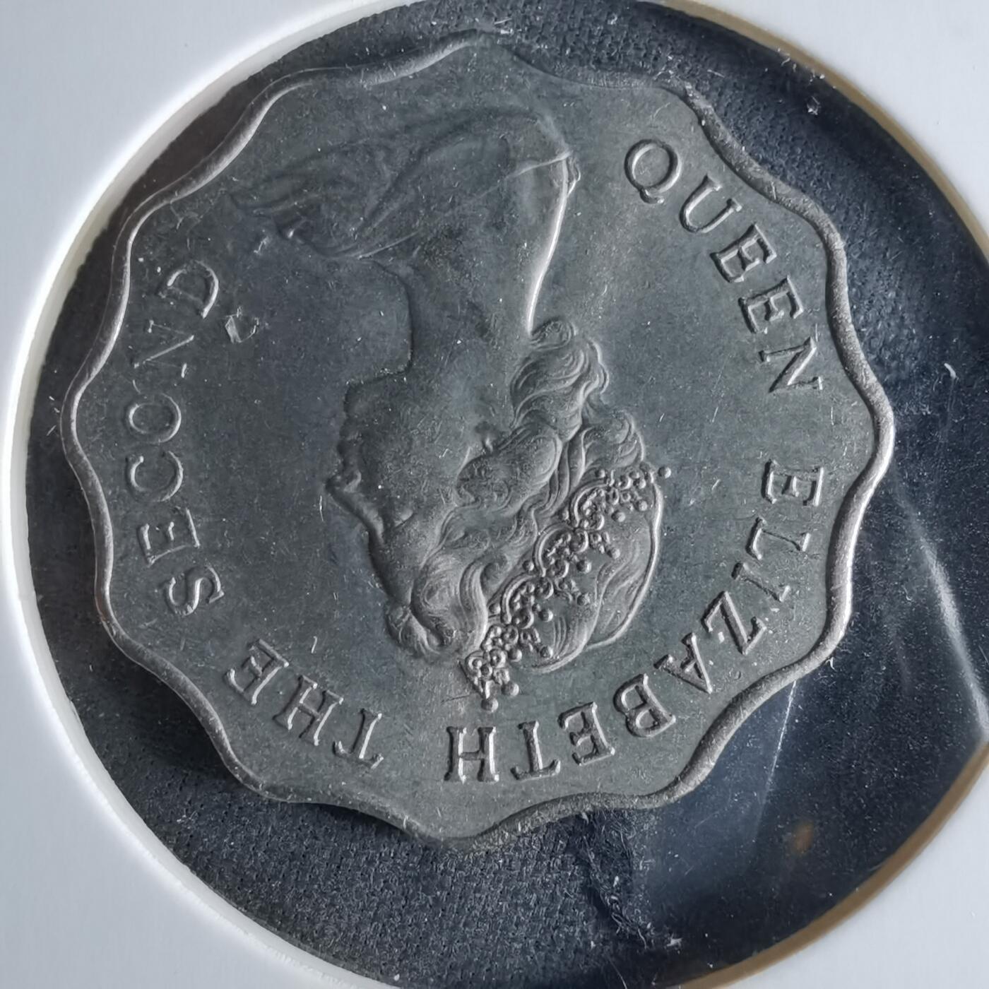 沼泽如烟--第956场