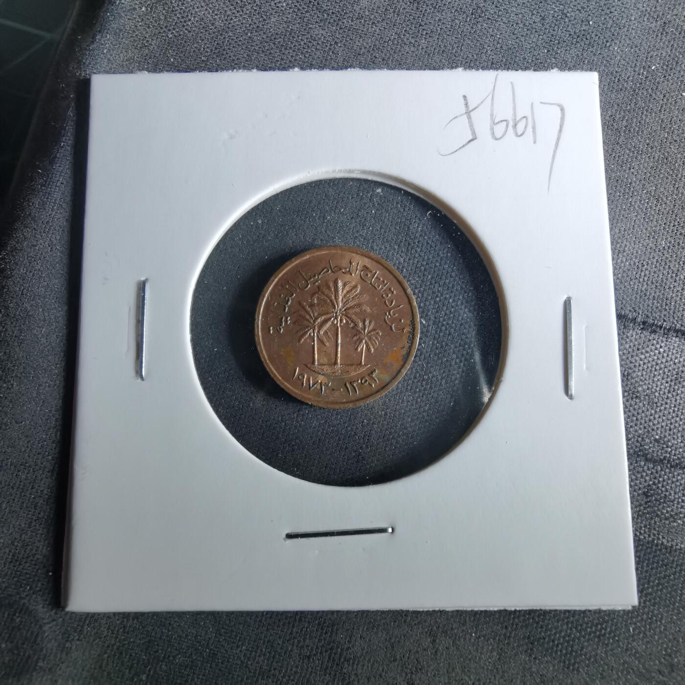 沼泽如烟--第956场