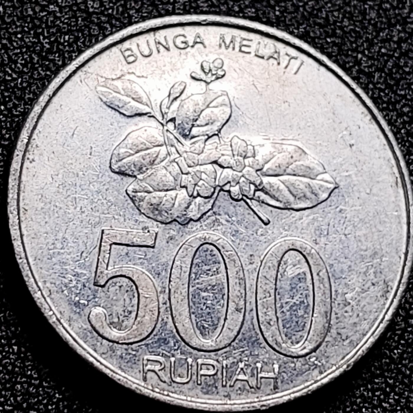 泉币菌-第167场- 精品福利场 。