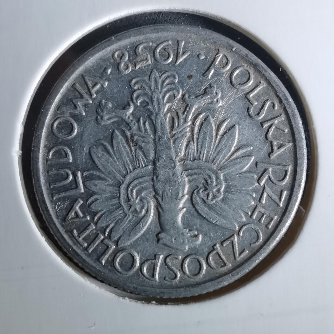 沼泽如烟--第956场