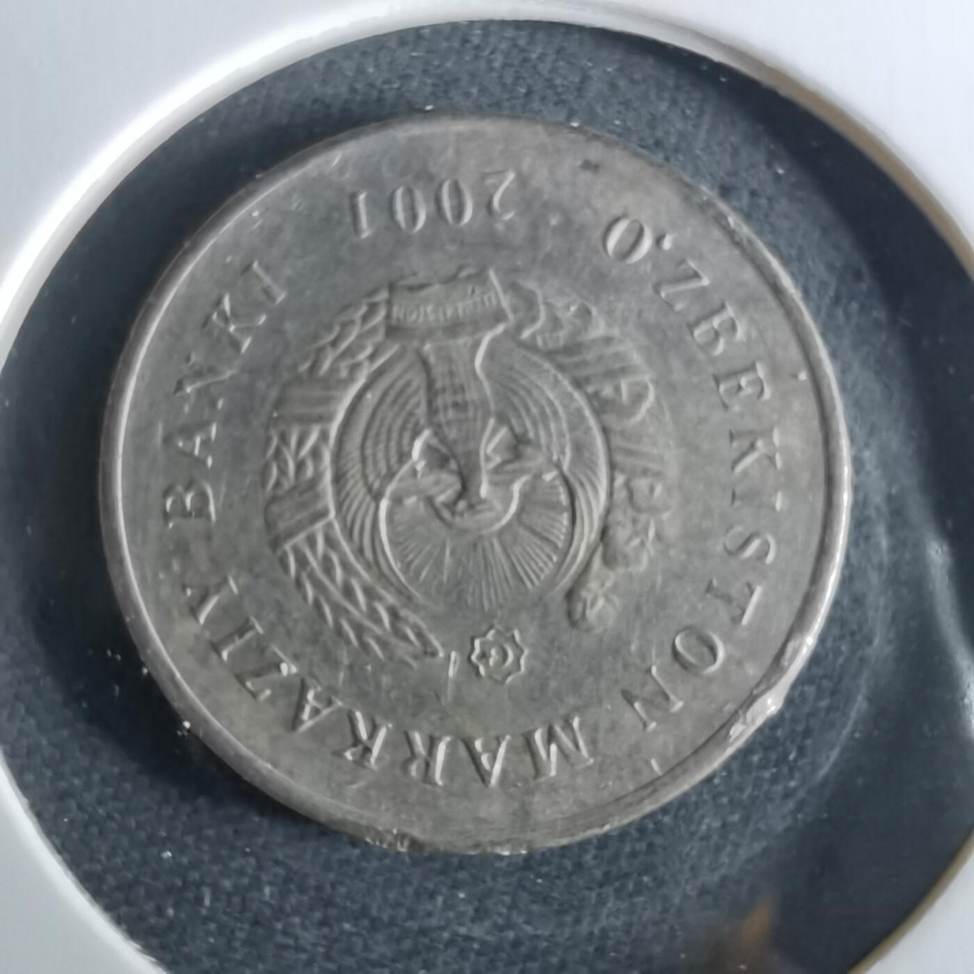 沼泽如烟--第956场