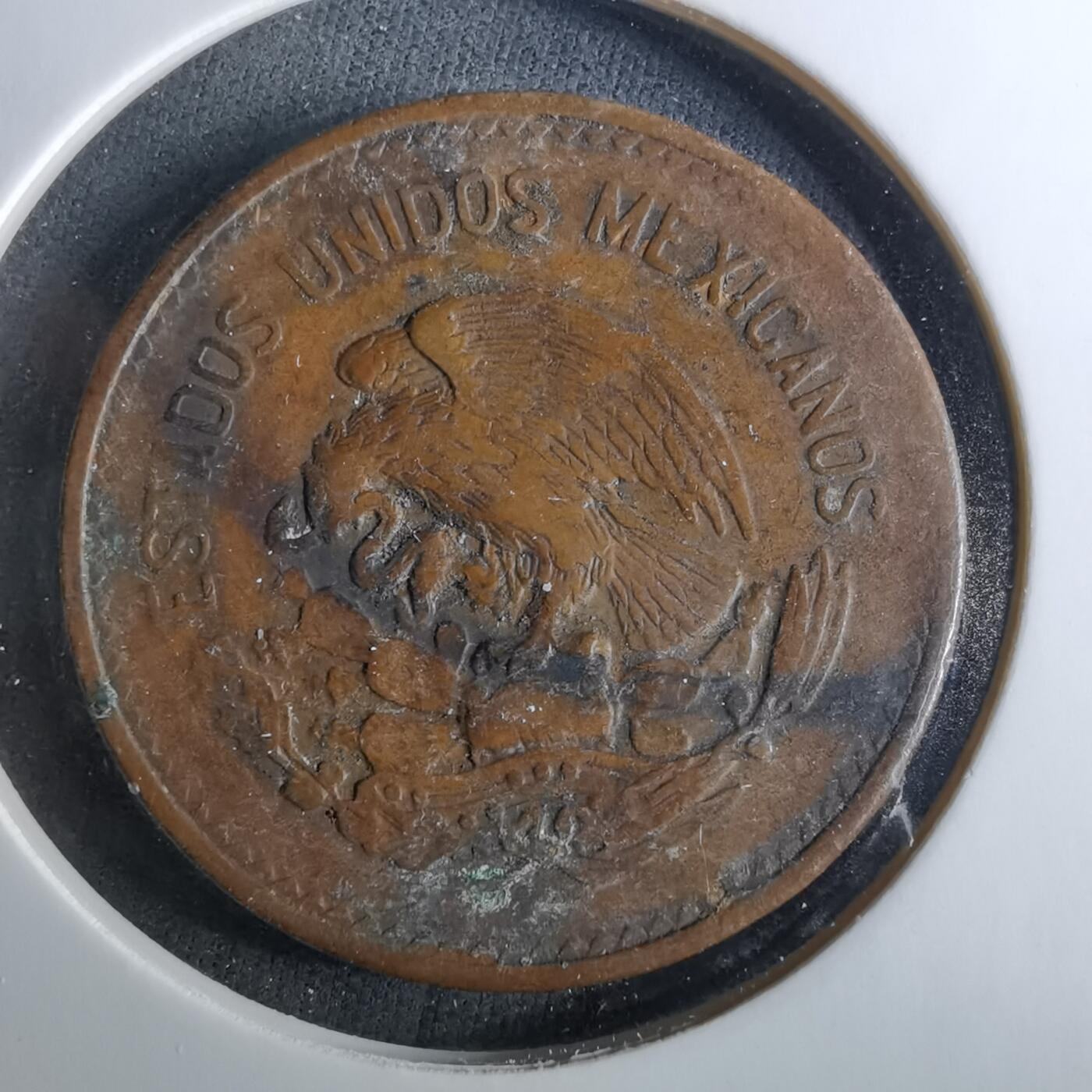 沼泽如烟--第956场