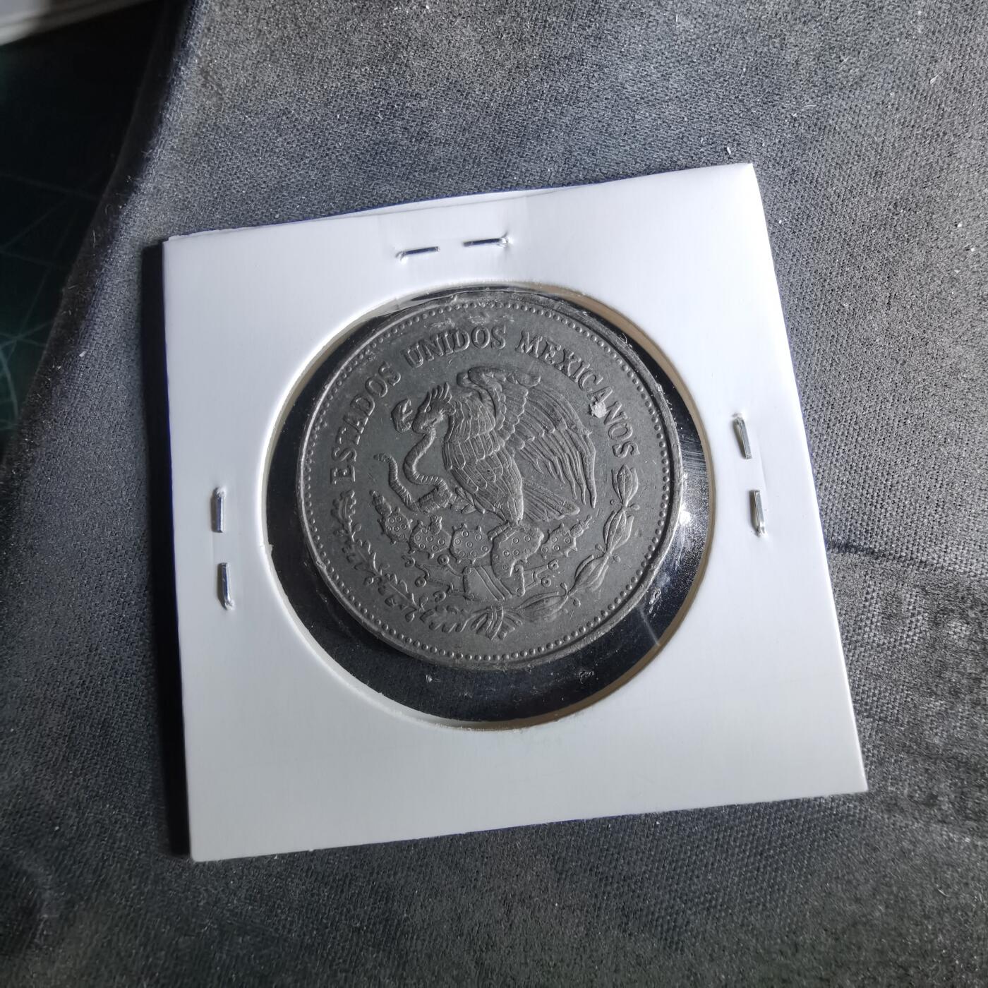 沼泽如烟--第956场