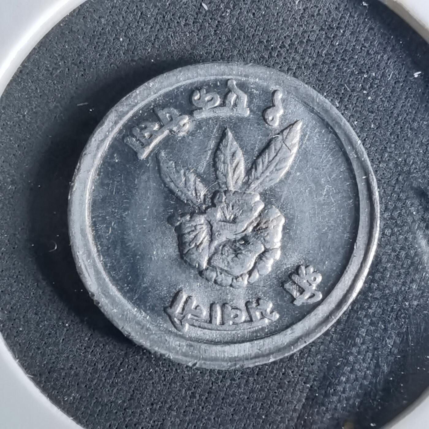 沼泽如烟--第956场