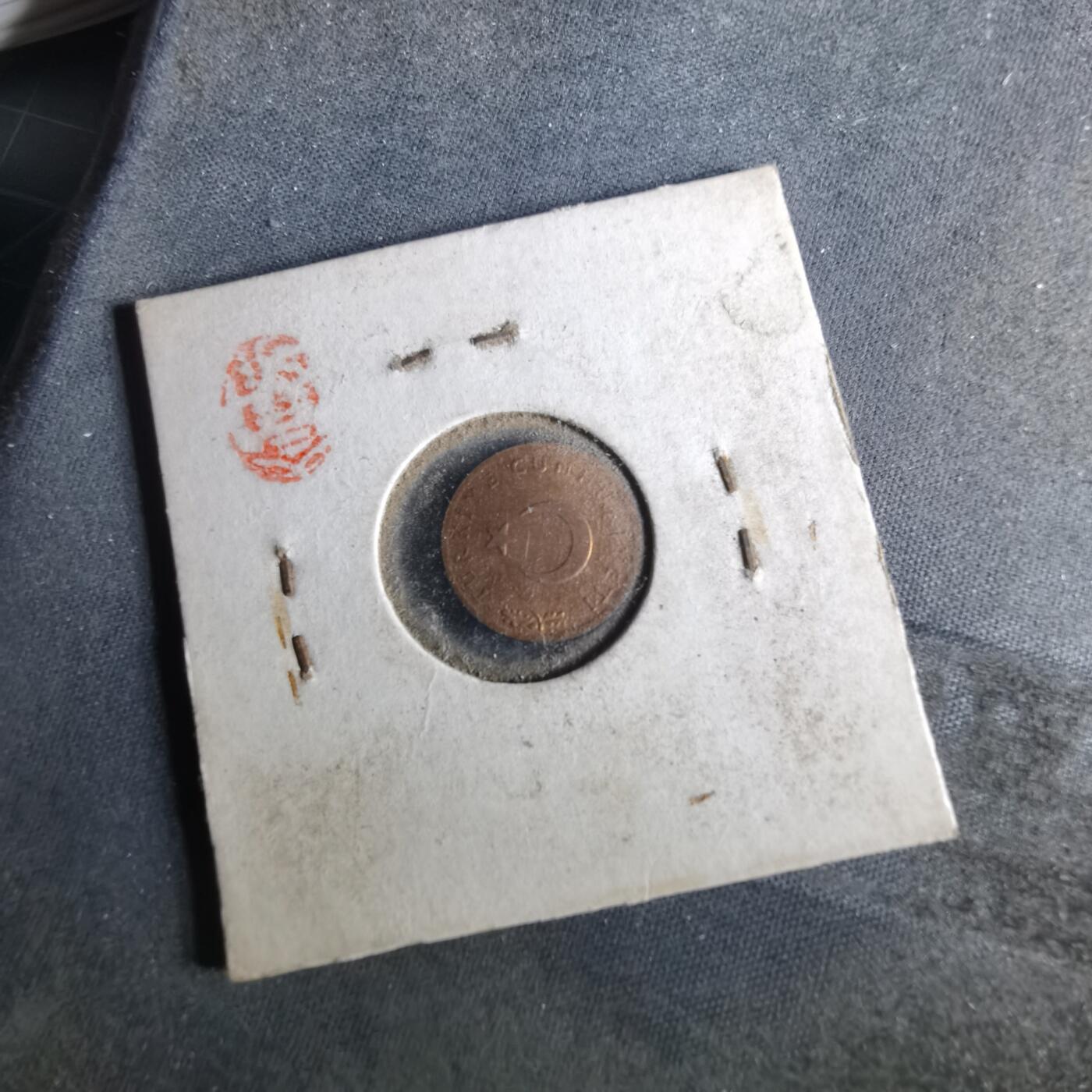 沼泽如烟--第956场