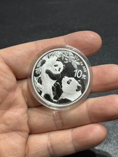 《外钞收藏家》第六百零一期（畅拍场）（本平台长期征集拍品、欢迎藏友们联系合作） - 2021年熊猫银币 30克 一枚 裸币