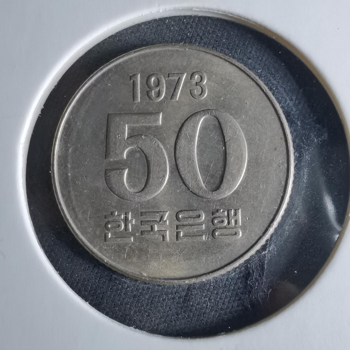 沼泽如烟--第956场