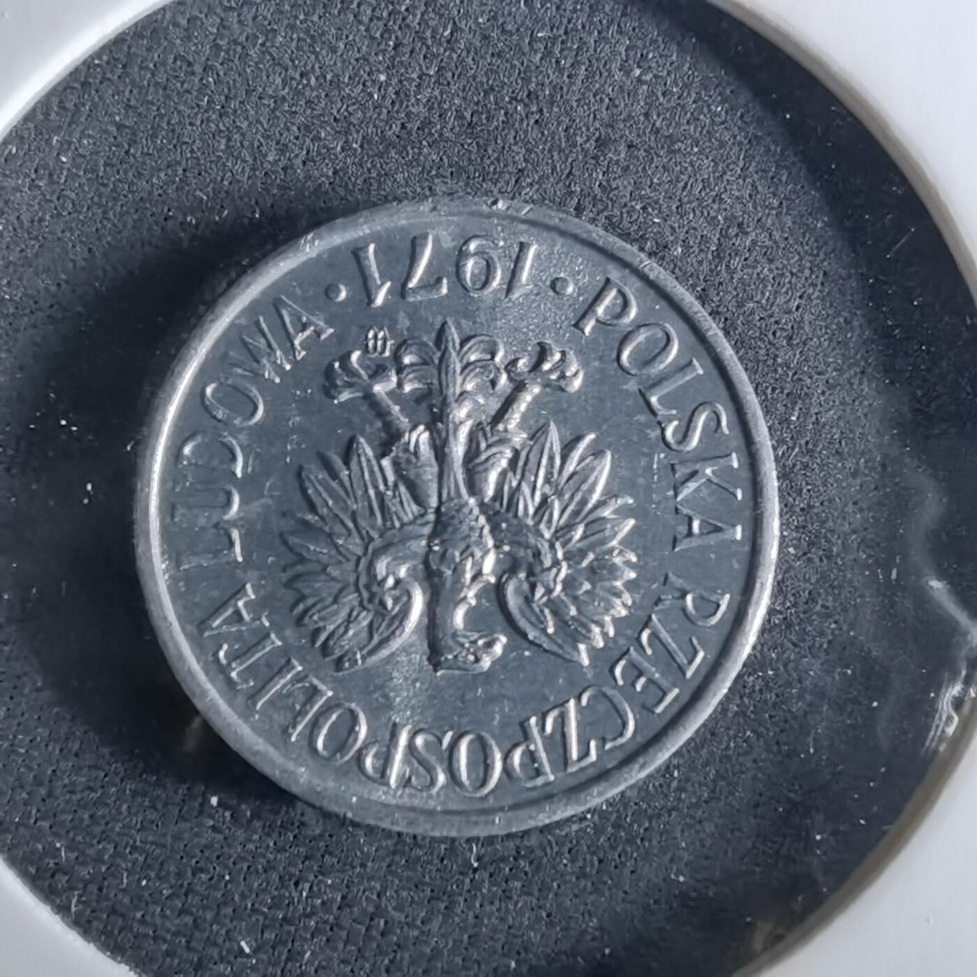 沼泽如烟--第956场