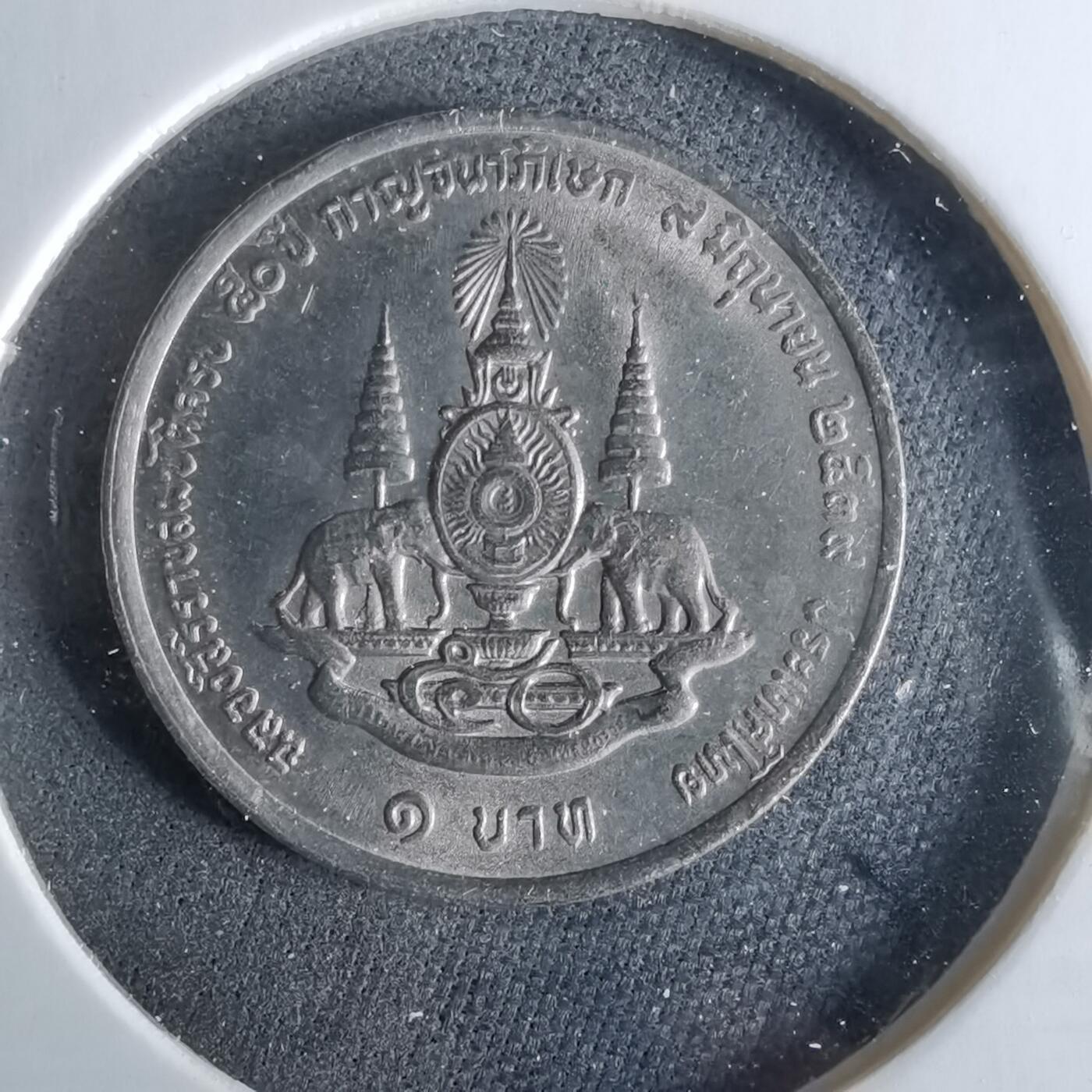 沼泽如烟--第956场 泰国