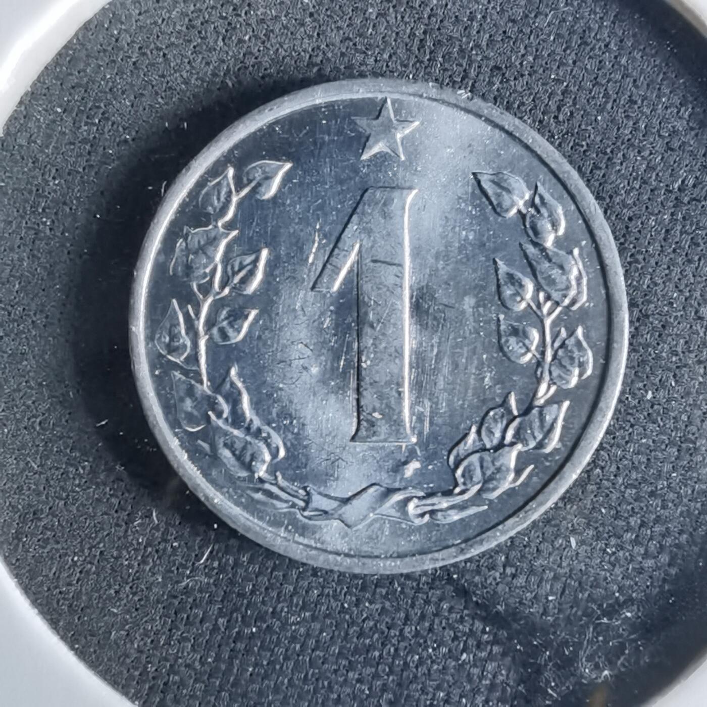 沼泽如烟--第956场