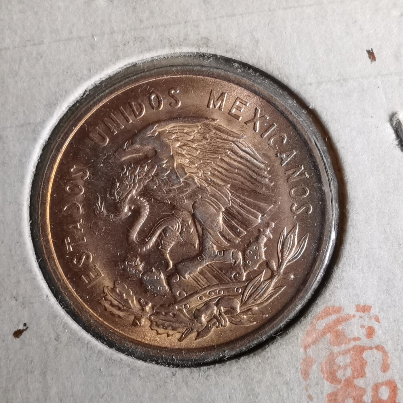 沼泽如烟--第956场